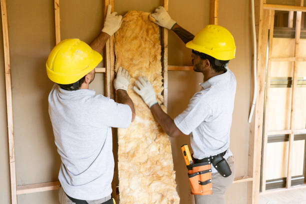 Insulation Air Sealing in Williamsburg, VA